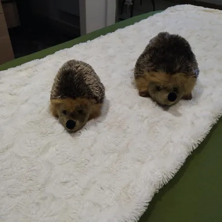 D'hôtes Les Brimbelles Couette-café