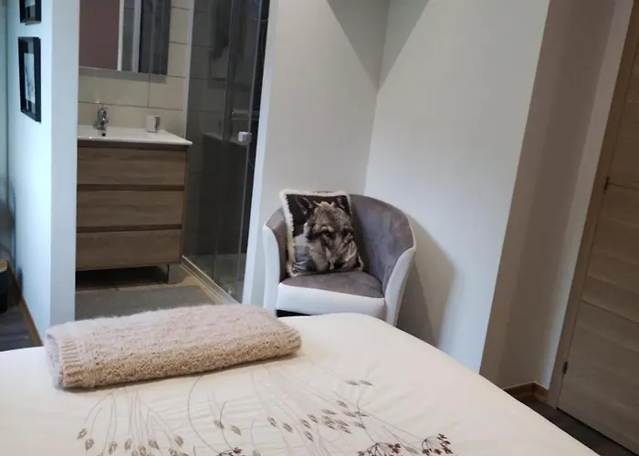 D'hotes Les Brimbelles Frühstückspension Gérardmer