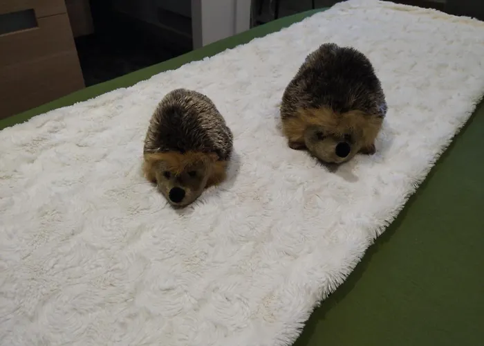 D'hotes Les Brimbelles Frühstückspension